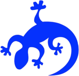Gecko Programmes